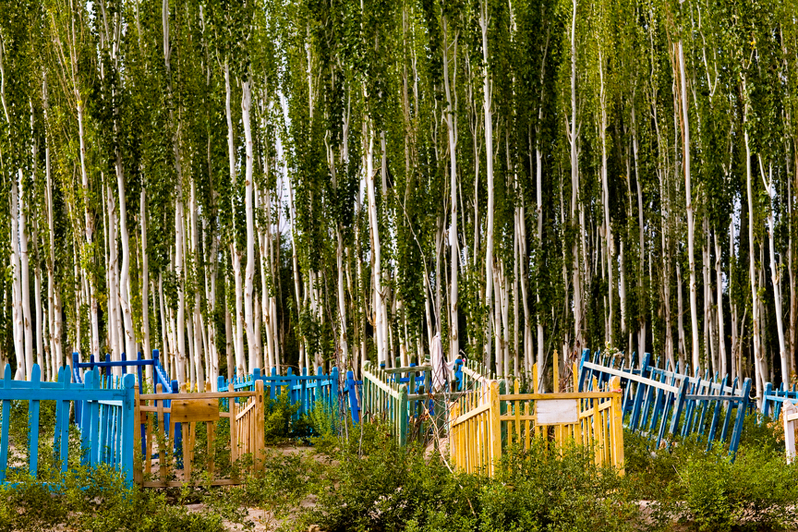 Unrevealed, Site 4 (Colored “Cribs”), 2009